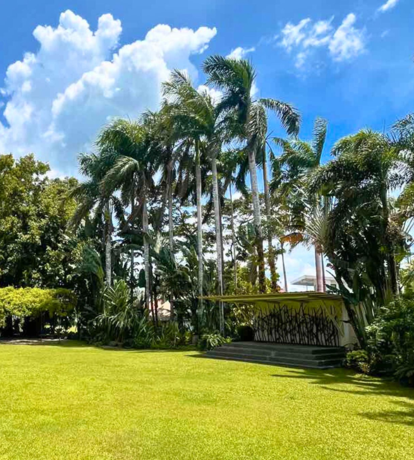 Untitled design (18)