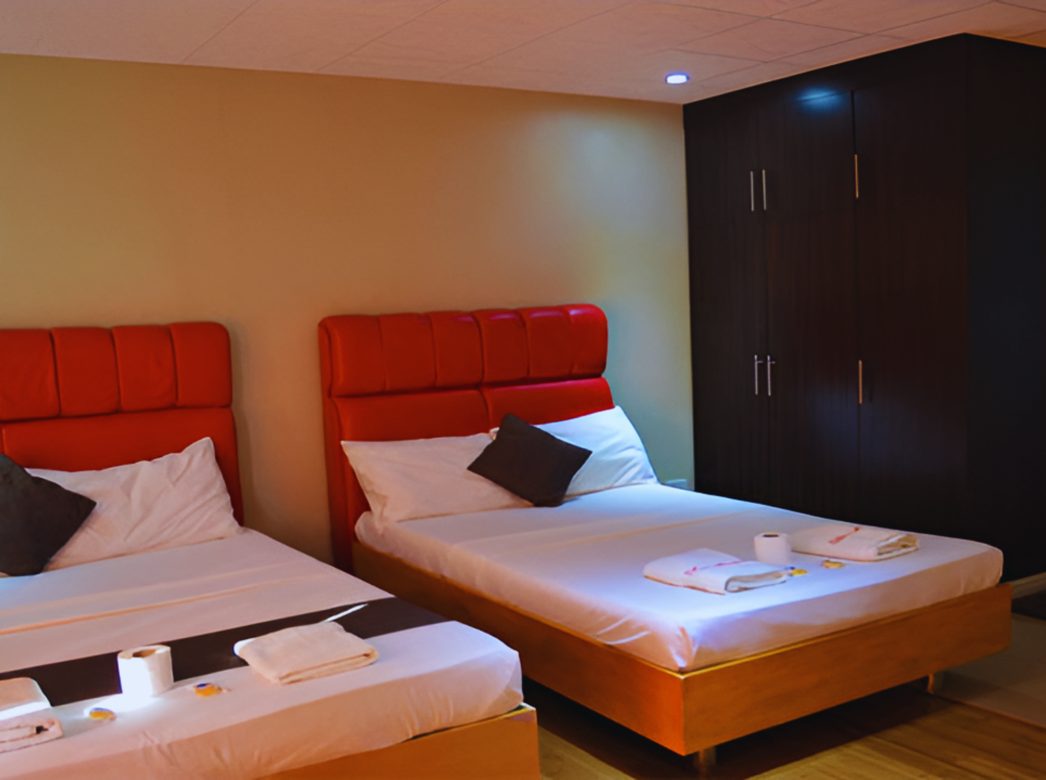 Untitled design (54)