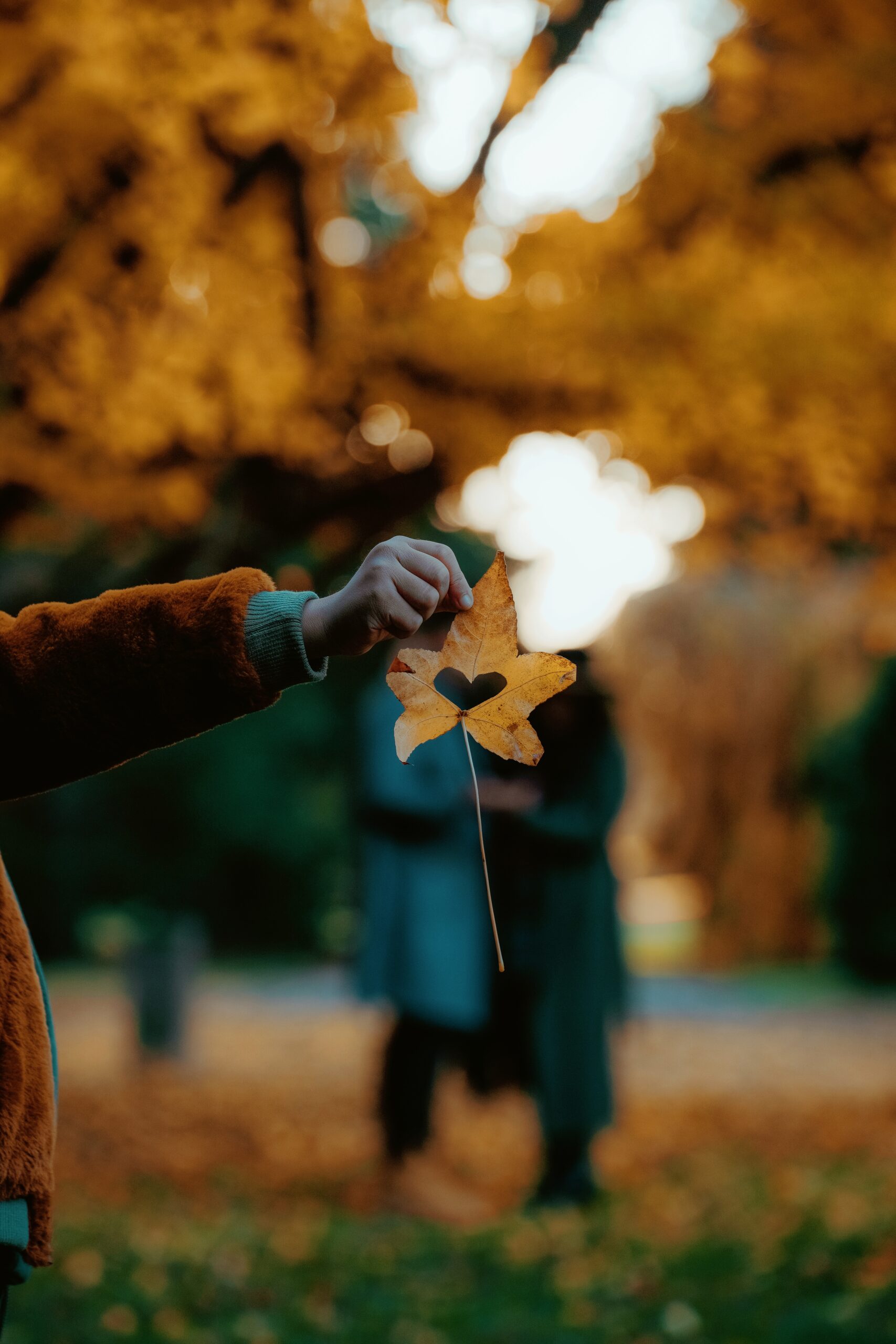 MEITU_20250514_165047293