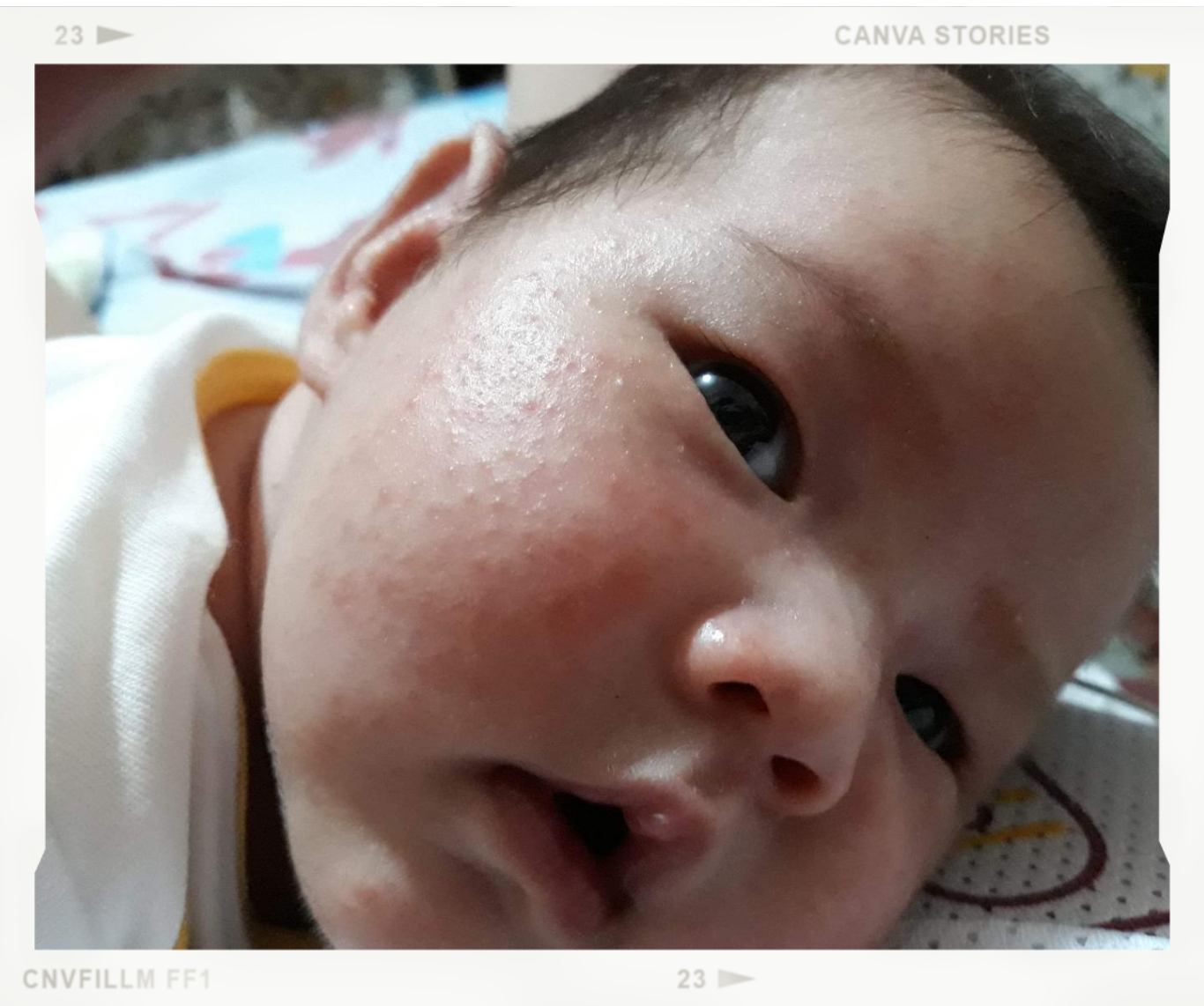 Untitled design (18)