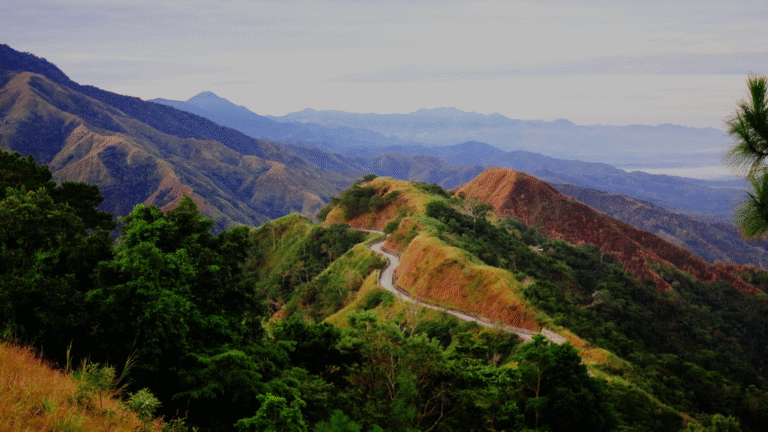 APAYAO WEBSITE ELEMENTS (32)