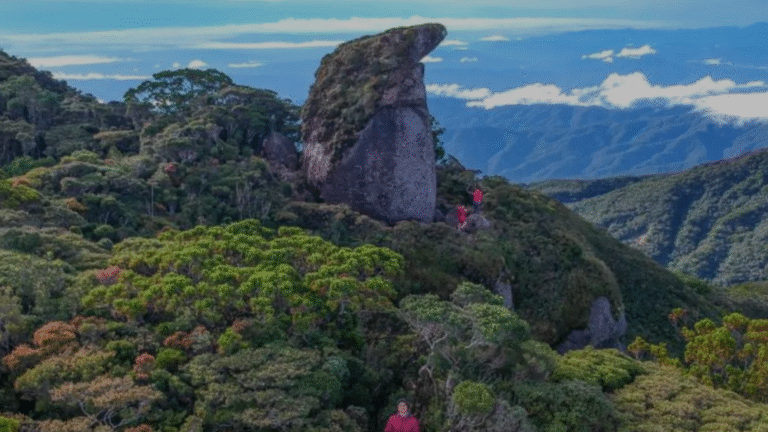 APAYAO WEBSITE ELEMENTS (35)